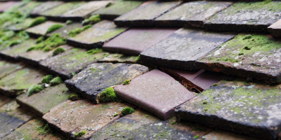 Bisley roof repair costs